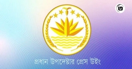 নির্বাচনি সহিংসতা নিয়ে টিআইবির প্রতিবেদন: ৩৬ দিনে ১৫ জন নিহত